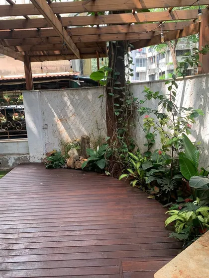 This space features a wooden deck under a pergola, with a climbing vine starting its journey up a tree trunk.