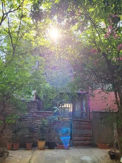 The sun flares over the studio, creating a halo effect through the trees. This image captures the magical quality of light and how it interacts with both the natural and built elements of the space.