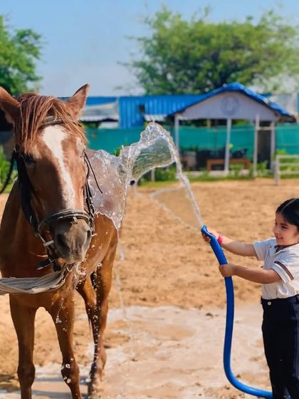 Unique Farm Experiences photo 3