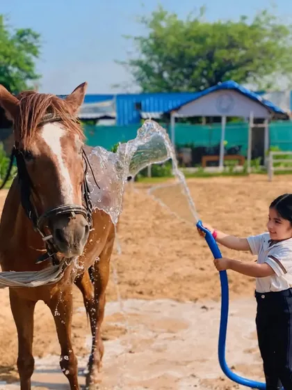 Fun with the hose. A young girl enjoys the task of bathing one of our horses.