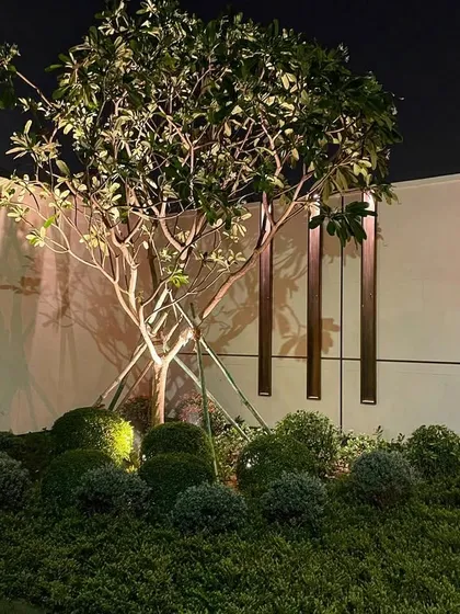 Night lighting is crucial for highlighting architectural and natural features. Here, I used an uplight to showcase the beautiful structure of a plumeria tree against a modern wall at a Chattarpur farmhouse.
