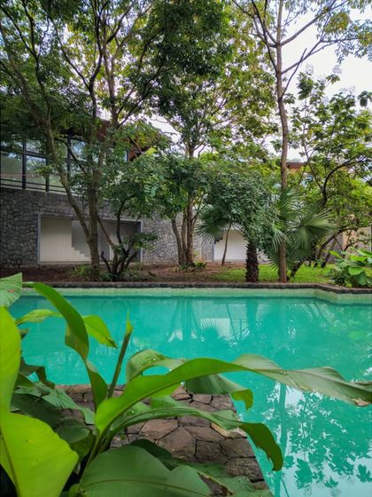 The pool at 'Villa 16' reflects the surrounding trees. Our designs aim to blur the boundaries between the built structure and the natural environment.