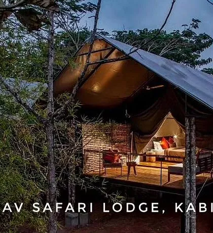 A night view of the elevated tent at KAAV Safari Lodge, glowing warmly amidst the trees, offering a safe and magical jungle experience.