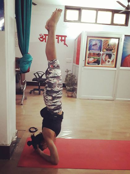 A student holds a steady Pincha Mayurasana (Forearm Stand). This inversion builds incredible shoulder and core strength while teaching the body to find balance from a new perspective.