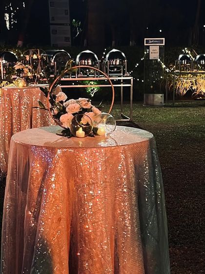 Glamorous Sangeet & Reception Nights photo 51