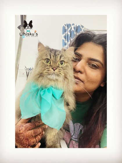 Furrybells Pet Grooming - Pet Grooming (Dogs & Cats) Cat Grooming: A Gentle Touch photo 30