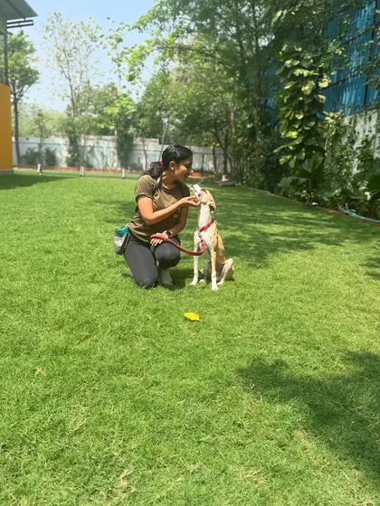 Working with Rocket in the yard. One-on-one sessions are crucial for building a strong foundation.
