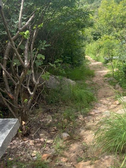 The Works - Weekend Adventure Treks The Views: Sunrise & Scenery photo 4