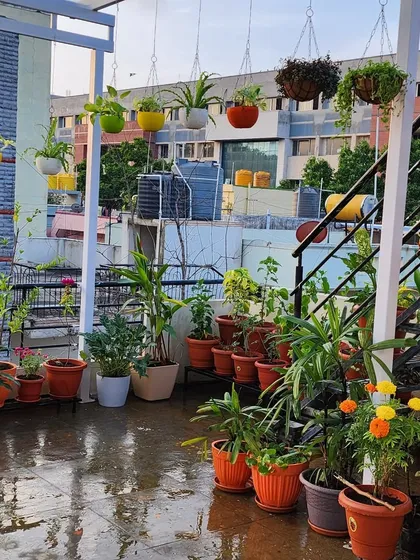 Here is a finished terrace garden that makes me so proud. I used a mix of floor planters, multi-level stands, and colorful hanging pots to create depth and visual interest, turning this rooftop into a beautiful, relaxing oasis for my client.