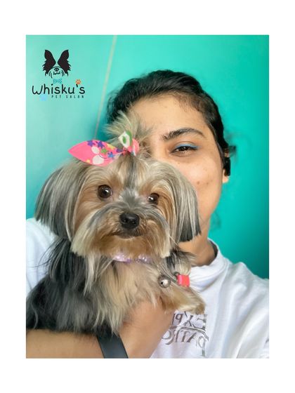 Furrybells Pet Grooming - Pet Grooming (Dogs & Cats) Breed-Specific Dog Styles photo 21