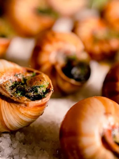 Zest Events & Catering - Full-Service Event Catering Additional Work photo 46