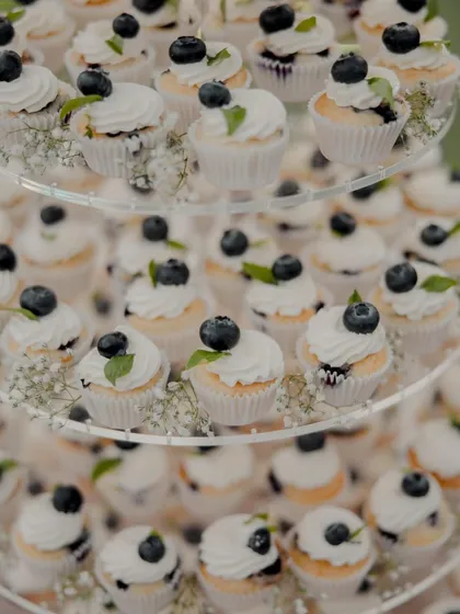 A close-up of the mini vanilla blueberry cupcakes from the wedding tower. Each one is topped with a swirl of buttercream, a fresh blueberry, and a tiny mint leaf.
