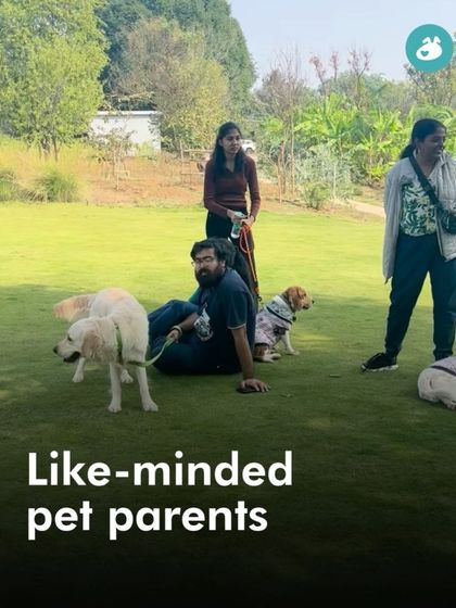 Garima Tomar - Dog Socialization & Group Activities Social Picnics & Community Meetups photo 3