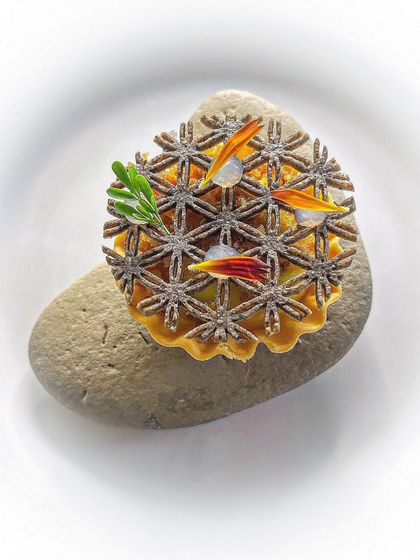 My signature corn tartlet. It features a chicken fat corn crema, puffed amaranth, and crispy chicken skin for a symphony of corn flavor and texture.