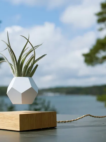 The LYFE planter hovers and rotates, giving your air plants 360-degree access to sunlight. This image captures the planter in a natural outdoor setting, highlighting its connection to nature and minimalist Scandinavian design.