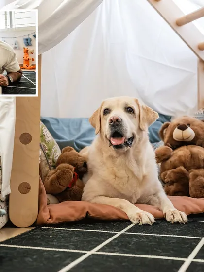 A collage from senior dog Shelby's 10th birthday shoot. The photos show her patiently participating in the family's chaos, surrounded by kids and teddy bears in a homemade fort.