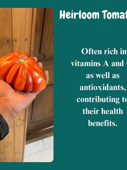 This is an heirloom tomato, a variety known for being rich in vitamins A and C and powerful antioxidants. We cherish these unique varieties for their health benefits and incredible flavor.