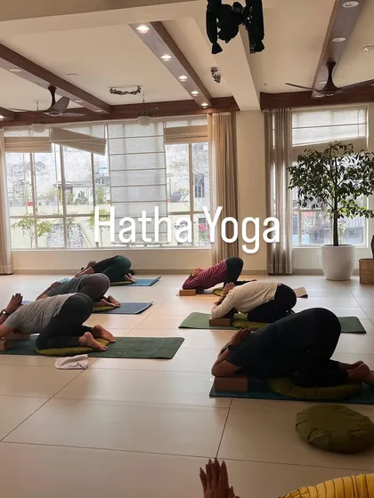 Students rest in a supported child's pose, a moment of quiet surrender during a Hatha class.