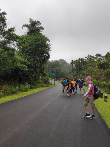 Our group walking along a paved road surrounded by the lush greenery of the Malenadu region.