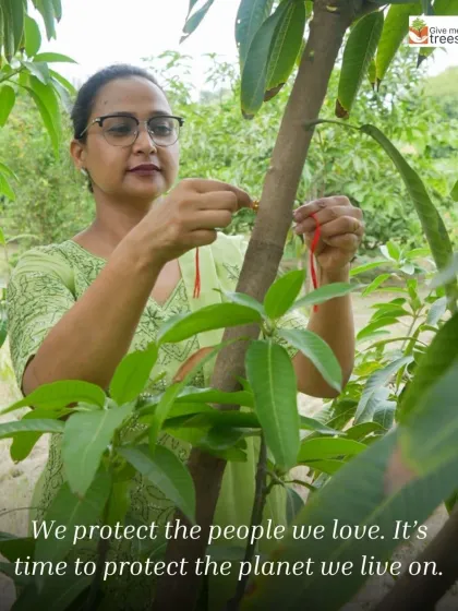 "We protect the people we love. It's time to protect the planet we live on." This Vriksha Bandhan message captures the spirit of our campaign to connect festivals with nature.