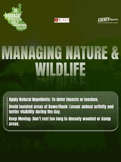 Here are our tips for managing nature and wildlife encounters, including using natural repellents and avoiding isolated areas at dawn or dusk.