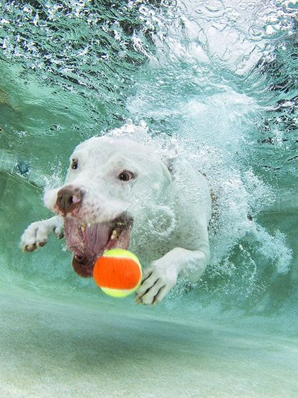 Creative Concepts: Underwater Adventures photo 35