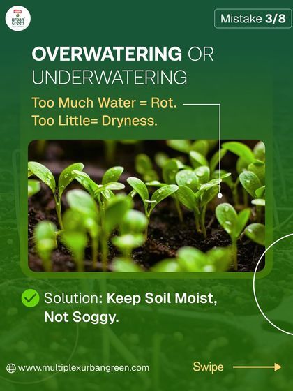 Multiplex Urban Green - Organic Gardening Supplies Gardening for Beginners: Tips & Tricks photo 3