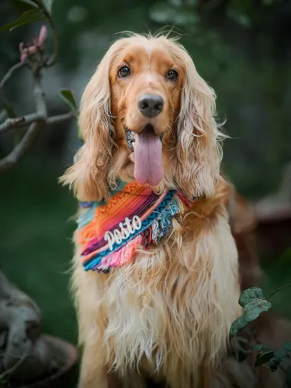 Another stunning shot from the Shantiniketan series. The natural background complements his colorful bandana.
