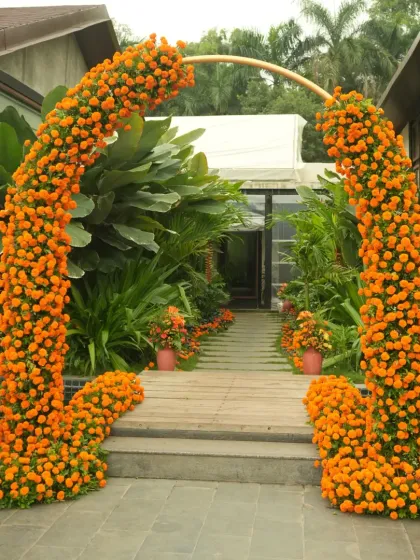 Vibrant Haldi & Mehendi Functions photo 27