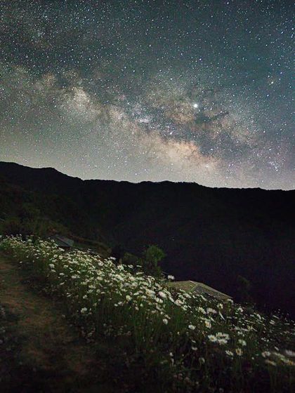 The Milky Way rises over a field of chamomile flowers at The Goat Village, a beautiful property near Nag Tibba. This image combines the beauty of the cosmos with the charm of the Himalayan foothills.