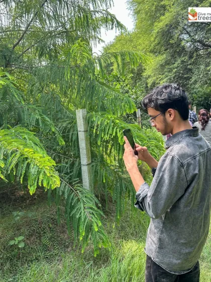 A student captures the beauty of a young tree. This act of observation is a key part of our nature education, encouraging a deeper appreciation for the details of the natural world.