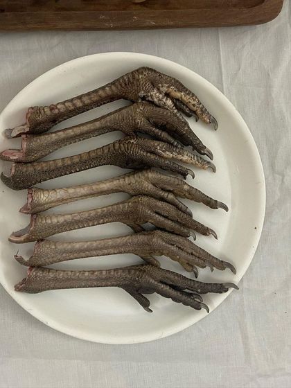 A plate of clean, raw turkey feet. These are a natural source of glucosamine and chondroitin for your dog.