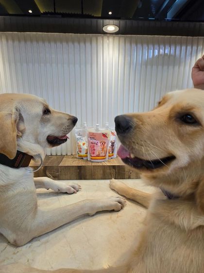 These images are part of series showing happy dogs and the bone broth product, reinforcing its benefits and appeal.