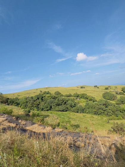 The rolling hills of the Western Ghats.