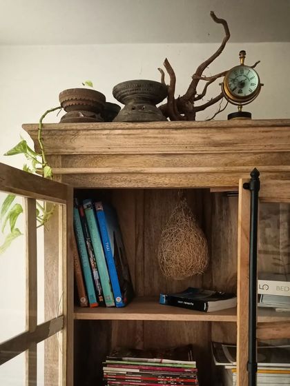 A close-up of the cabinet top, featuring eclectic decor like a Baya weaver nest, a vintage-style clock, and a pothos plant, reflecting a love for detail and nature.