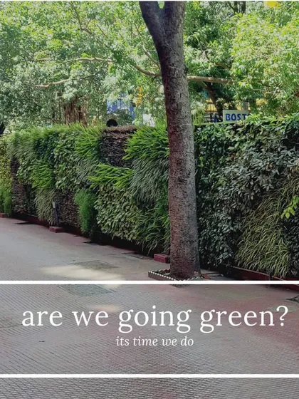 This long, lush green wall transforms a simple paved area into a beautiful, green corridor. Our outdoor installations help combat the urban heat island effect and improve local air quality, making our cities healthier places to live.