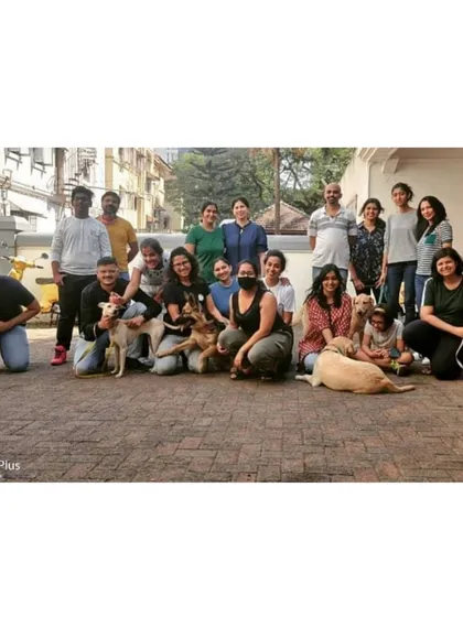 A group photo with all the humans and dogs from a training workshop. We are all part of one big pack.