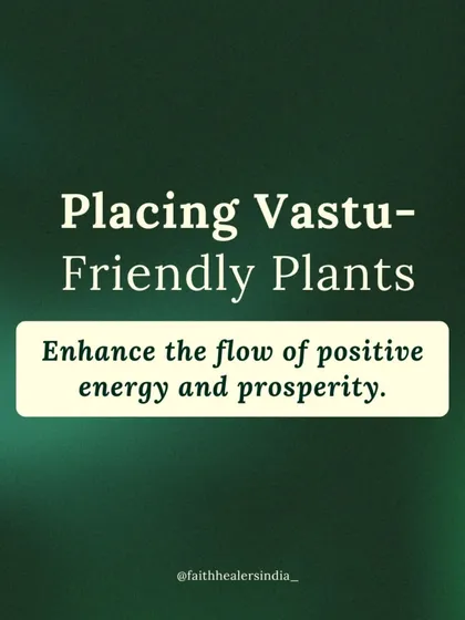 Placing Vastu-friendly plants in your home is a simple way to enhance the flow of positive energy and prosperity. They bring nature's healing and balancing energy indoors.