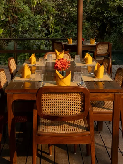 A table set for brunch on the wooden deck, surrounded by the lush greenery of the forest.