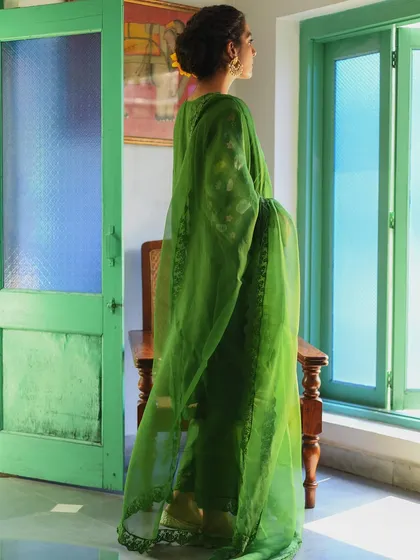 A shot from the back, capturing the light filtering through the sheer green dupatta. This artistic shot highlights the fabric's texture and color beautifully.
