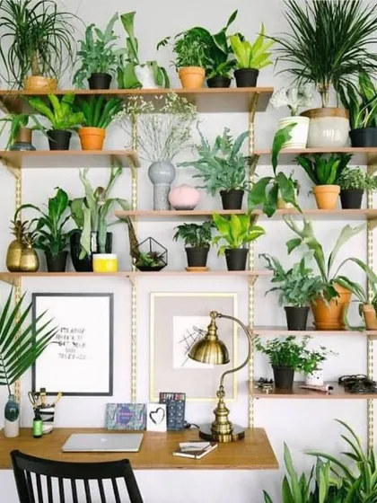 Turn your workspace into a green sanctuary. This desk setup uses wall-mounted shelves to hold a variety of small to medium-sized plants, improving air quality and boosting creativity.