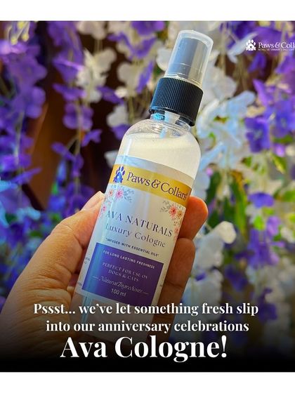 PawsnCollars - Pet Grooming & Spa Ava Naturals: Luxury Pet Cologne photo 27