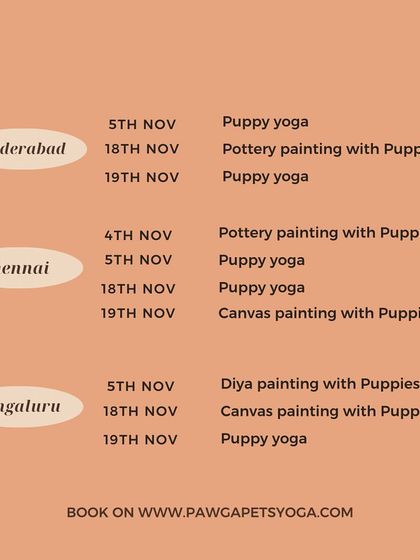 The November schedule for Hyderabad, Chennai, and Bengaluru, with pottery painting, puppy yoga, and more.