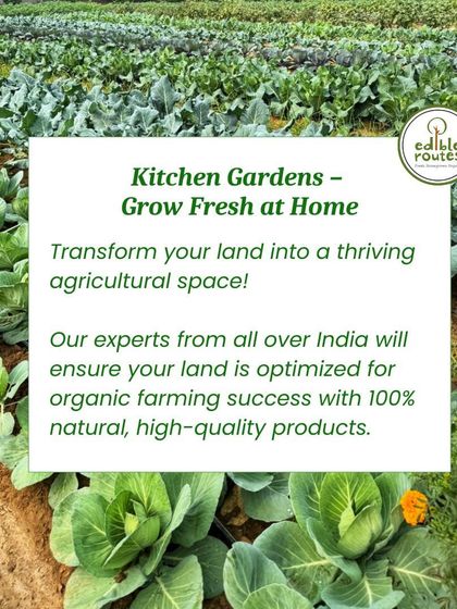 My service for kitchen gardens helps you transform your land into a thriving agricultural space, using 100% natural methods and high-quality products to ensure organic success.