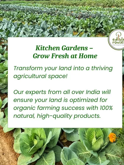 We can help you transform your own land into a thriving agricultural space. Our experts ensure your land is optimized for organic farming success with 100% natural, high-quality products and techniques.