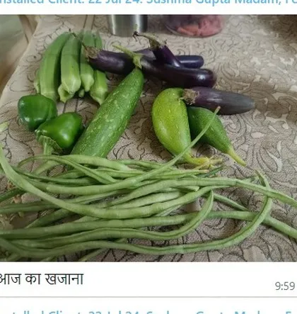 This is the kind of message that makes my day. A customer shared a photo of their harvest, calling it "Aaj ka khazana" (Today's treasure). This is the real treasure: pure, homegrown food that you can trust.