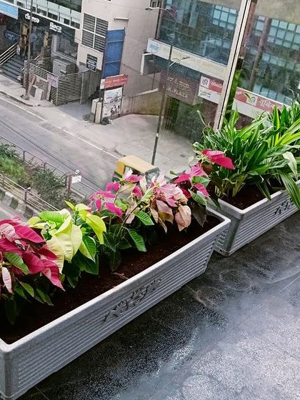 Multiplex Urban Green - Landscape & Garden Services Balcony & Terrace Transformations photo 20