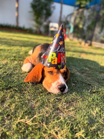 A sleepy birthday boy. We make sure our birthday celebrations are packed with excitement.
