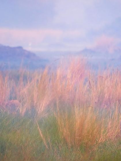 Giants of the Land & Sky photo 10