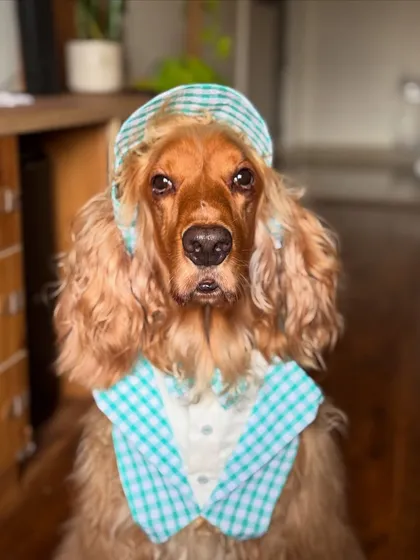 A perfect portrait of Posto in his twinning outfit. He has the most expressive eyes.